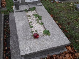 Przed wykonaniem usługi